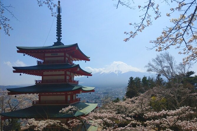 Mt Fuji With Kawaguchiko Lake Day Tour - Accessibility and Participation