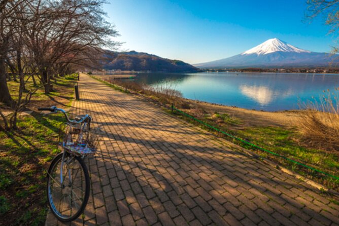 Mt. Fuji's Fifth Station & Lake Kawaguchiko Cycling Tour - Health and Safety
