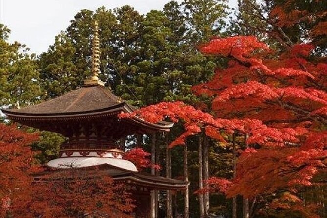 Mt Koya 1 Day Walking Tour From Osaka - Accessibility and Participation