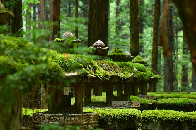 Mt. Koya 8hr Tour From Osaka: English Speaking Driver, No Guide - Pickup and Communication