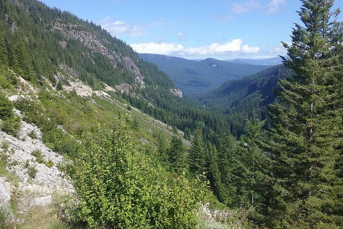 Mt Rainier Private Tour Experience in SUV - Customer Feedback and Ratings