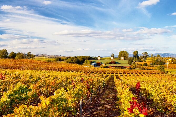 Muir Woods With Napa & Sonoma Wine Tour + Alcatraz & Aquarium Access - Indulge in Wine Tasting in Sonoma County