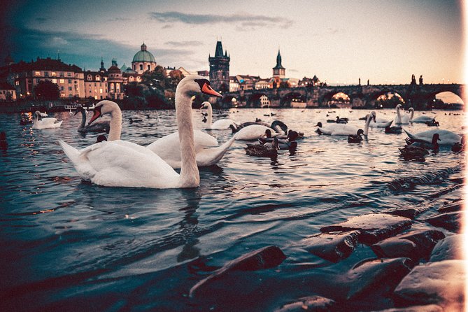 Munich to Prague - Private Transfer With 2 Hours of Sightseeing - Pricing and Availability