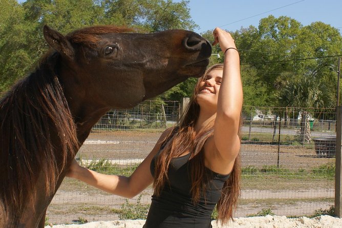 Mustang Rescue & Care Center Review - Day at the Rescue Center