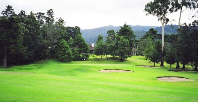 Mysterious Sri Lanka: City of Light - Nuwara Eliya - Exploring Ceylon Tea Plantations