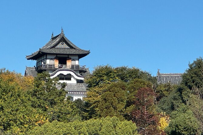 Nagoya: National Treasure Inuyama Castle & Tea Room Private Tour - Tour Requirements