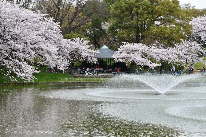 Nagoya Private Customizable Full Day Tour - Booking and Cancellation Policy