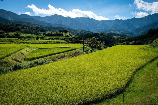 Nakasendo Self-Guided Walking Tour 2 Days - Exclusions
