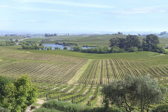 Napa & Sonoma Wine Tasting Tours - Health and Safety Guidelines