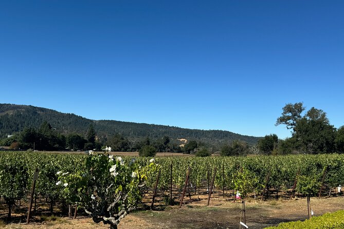 Napa Valley Luxury Wine Tours & Car Services - Flexible Pickup and Drop-off Options
