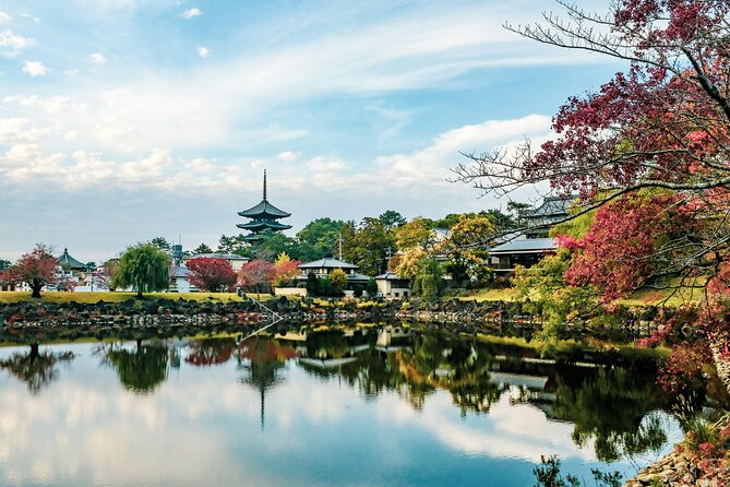 Nara Culinary Tour With a Chef! - Dietary Requirements