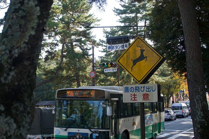 Nara Heritage Walkabout From Nara Park to Todaji Temple - Visiting Todaiji Temple and the Great Buddha