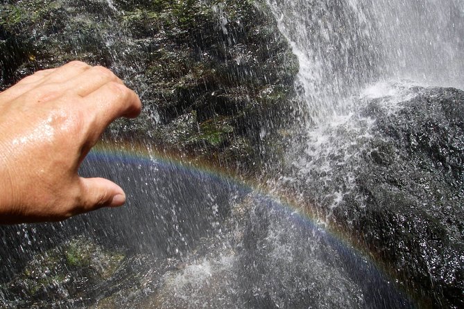 Nature Tour Around Waterfalls That Exudes From the Beech Forest Nishiwaga Town, Iwate Prefecture - Customizing Your Unforgettable Experience