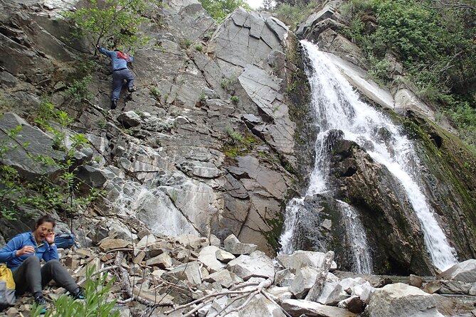 Nature Walk/Hike Tour Near Disneyland: ID Plants & Wildlife - Booking Information