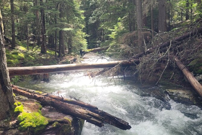 Nature Walk in Glacier National Park - Participation Guidelines