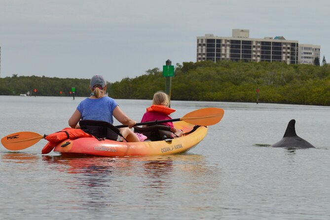 Nauti Exposures - Kayak Rental Naples, FL - Encountering Wildlife on the Water