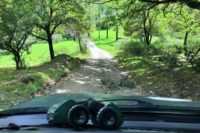 Nebrodi Jeep Adventure - Cultural Insights