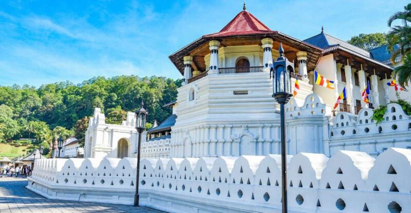 Negombo to Kandy Drop - Company Profile