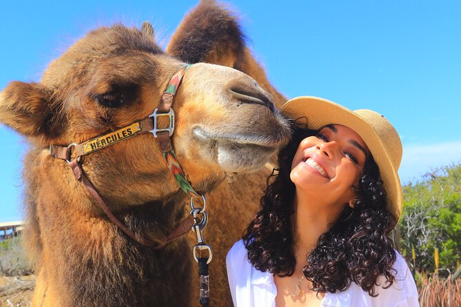 NEW! Combo Camel Beach Ride and UTV 4X4 Cabo Adventure, Tequila & - Camel Riding Adventure