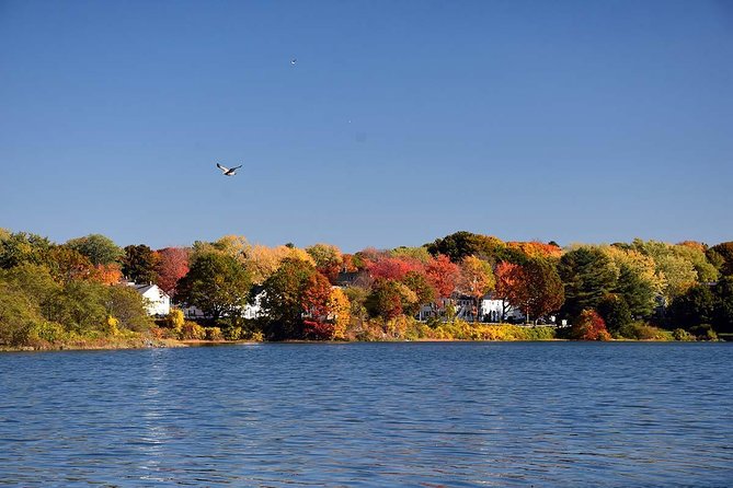 New England Fall Foliage Private Lobster Boat Cruise - Scenic Highlights and Wildlife Encounters