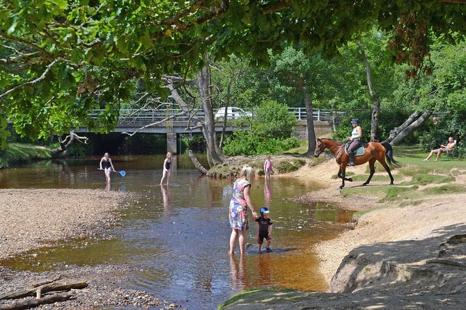 New Forest & Salisbury Day Tour From Southampton - Brockenhurst and Its Equine Residents