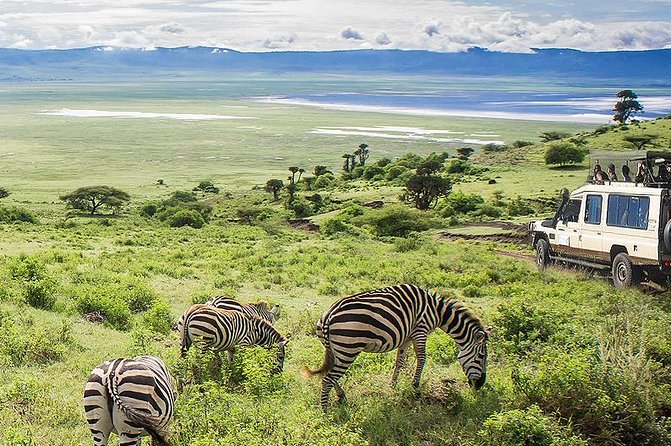 Ngorongoro Crater Day Trip - Meeting and Pickup Details