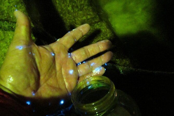 Night Kayak Tour Relax Under the Natural Glow of Sea Fireflies - Meeting Point & Directions