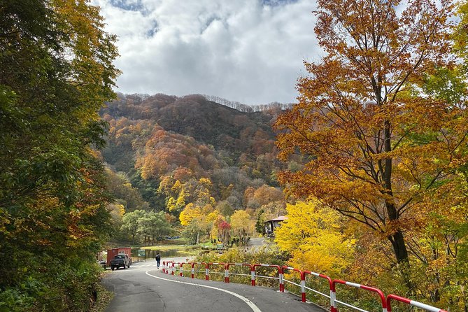 Niigata Private Customizable Full Day Tour - Booking and Cancellation Policies
