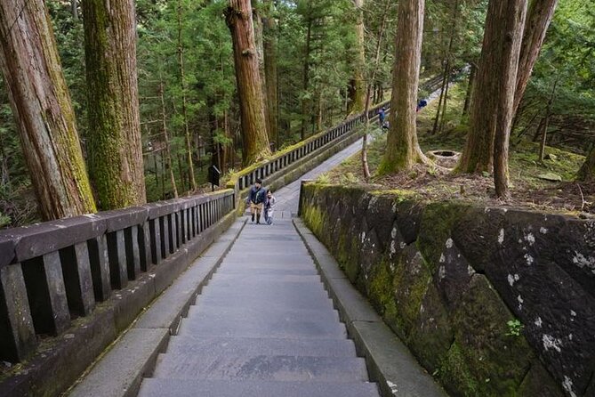 Nikko Private Experience With English Speaking Driver - Accessibility and Participation