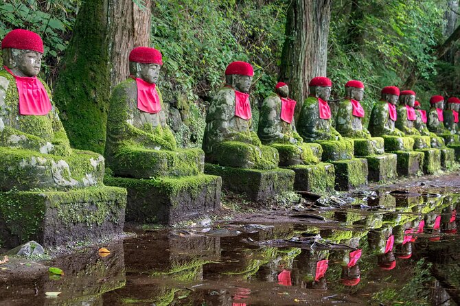 Nikko Private SightSeeing Day Tour (From Tokyo) - Accessibility and Participation