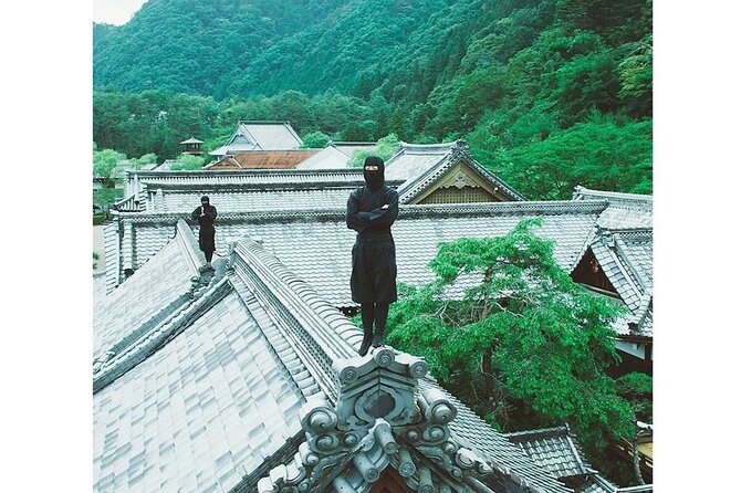 Nikko Private Tour With English Speaking Guide - Navigating Nikko National Park