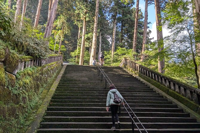 Nikko Private Tour With Temples and Nature and World Heritage - Accessibility and Participation Considerations