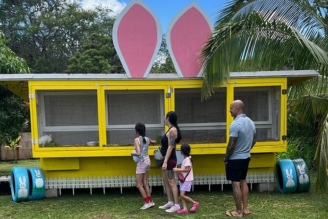 North Shore Farm: Anahulu River, Kayak-Sup, Turtles, Lunch & More - Included Amenities and Extras