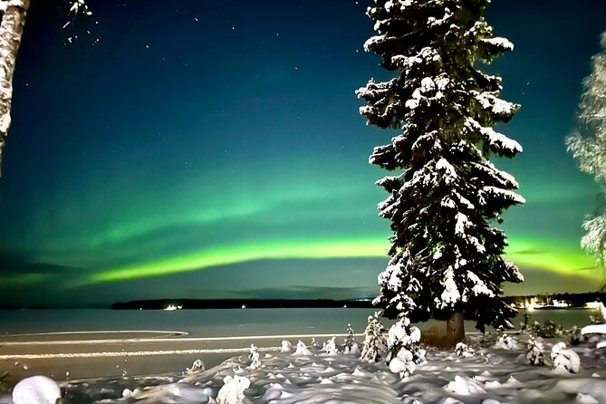 Northern Lights Tour At The Campfire - Inclusions and Amenities