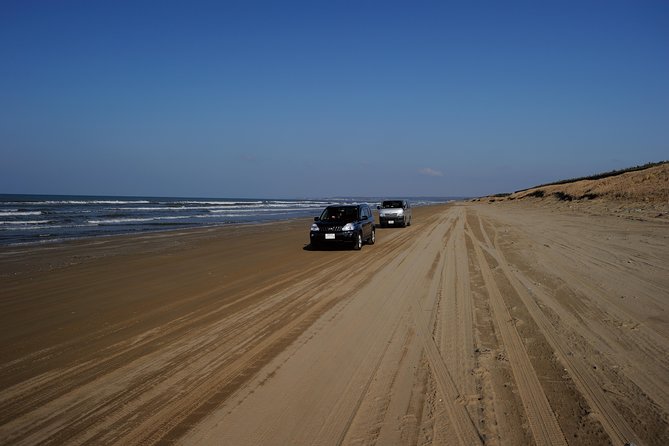 Noto Full Day Driving Tour (Private Car) - Customer Experiences