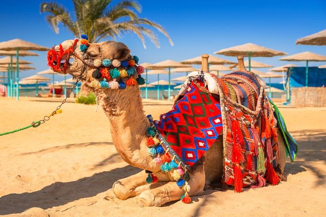 Nubian Lunch or Dinner at Nubian Village - Reviews and Ratings Overview