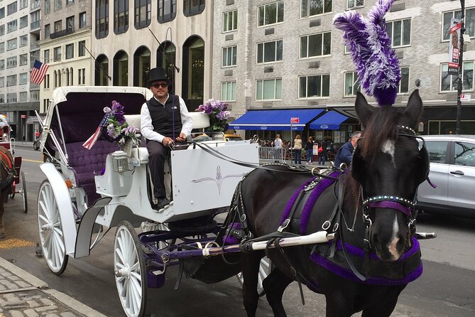 NYC Central Park Horse and Carriage Ride: Long Ride 45 Min - Customer Reviews and Ratings