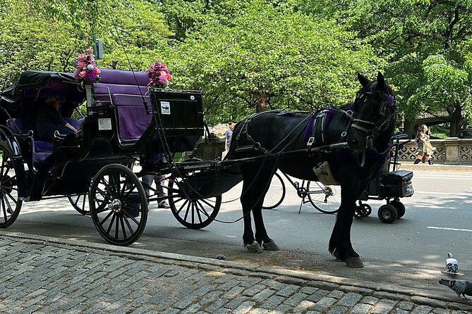NYC Empire State Horses Carriage Ride in Central Park (45 Mins) - Accessibility