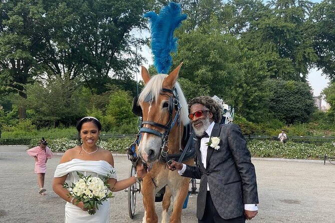 NYC Horse and Carriage Central Park Tours - Accessibility and Participation