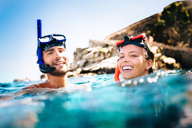 Oahu Coastline Cruise: Turtle Snorkeling and Jumping Platform - Vessel and Onboard Amenities