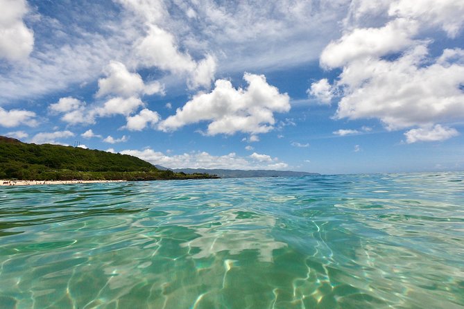 Oahu Custom Private Circle Island and Mini Circle Island Tours - Meeting and Pickup Details