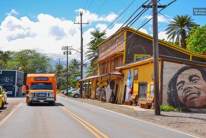 Oahu: North Shore & Dole Plantation Tour Review - Reviews and Feedback
