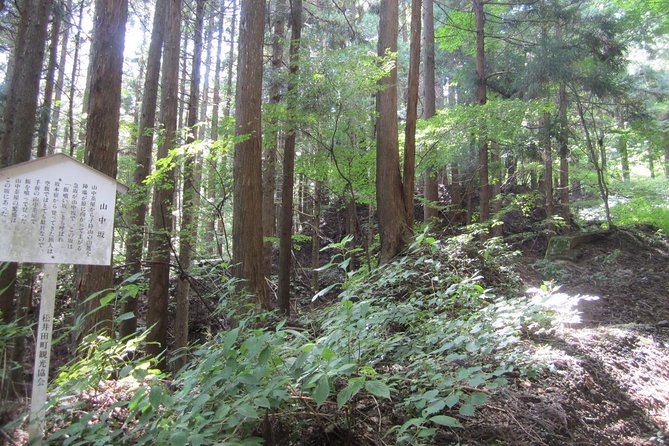 Old Nakasendo Trekking From Karuizawa-Beyond Sugahi Pass to Sakamoto Hotel- - Passing Through Historic Post Towns