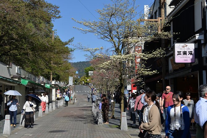 Old Port Town and Ultimate Sake Tasting Private Tour From Kyoto - Health and Accessibility Information
