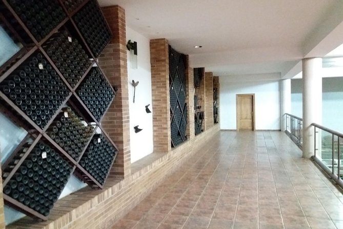 Olive Oil and Navarre Winery Visit With Tastings and Lunch in Small Group Tour - Navarre Winery Visit