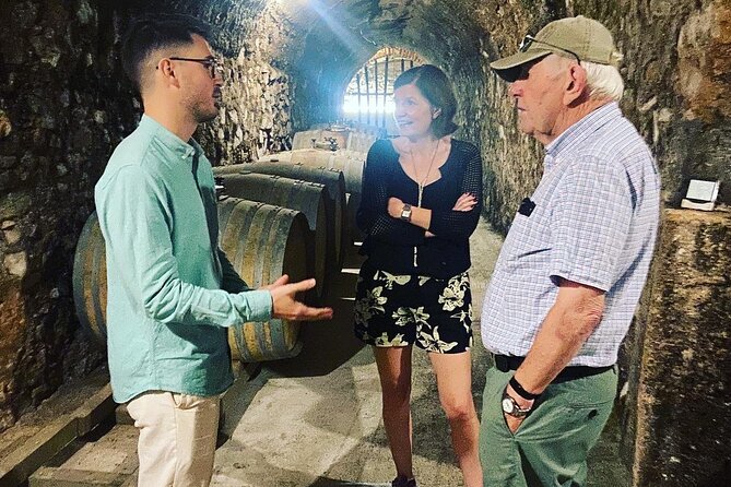 Olive Oil and Winery Tour From Zaragoza City - Included Snacks