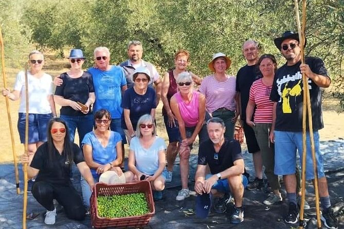 Olive Oil Tasting With Seminar in Metagitsi - Halkidiki - Accessibility Features