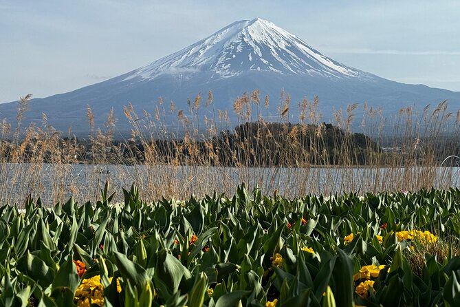 One Day Mountain Fuji & Hakone Tour With English Hindi Bilingual - Reviews and Ratings