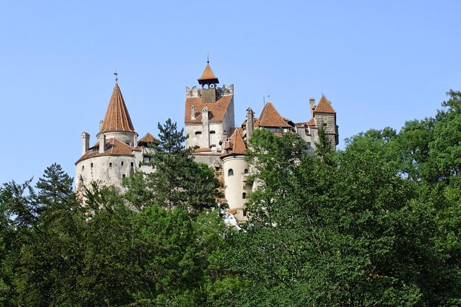 One Day Tour Dracula Castle. Libearty Bear Sanctuary. From Brasov - Whats Included in the Tour