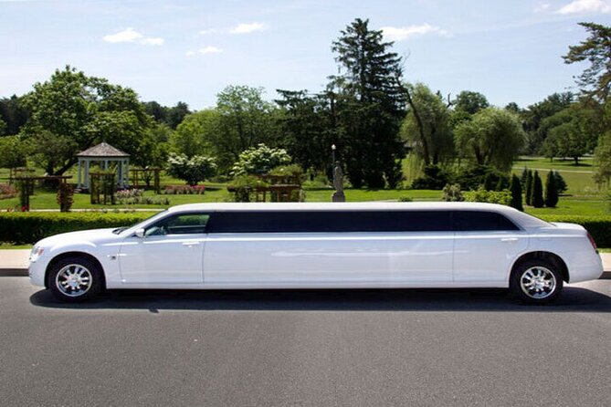 ONE WAY: Las Vegas Luxury Limo Transfer From/To Harry Reid Airport (Las) - Accessibility Features
